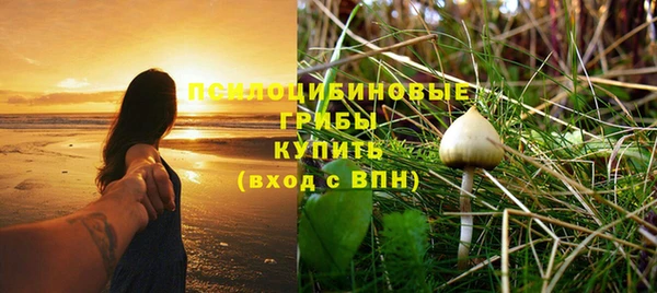 прущая мука Лагань