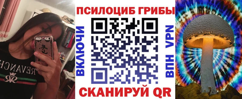 купить  цена  Абаза  Псилоцибиновые грибы мухоморы 